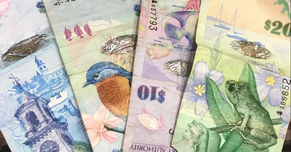 bermuda currency