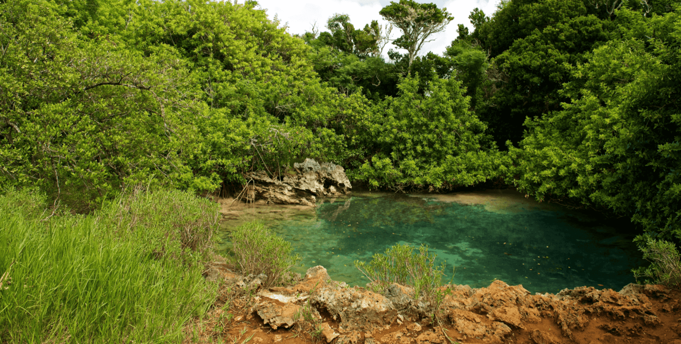 blue hole and walsingham cave