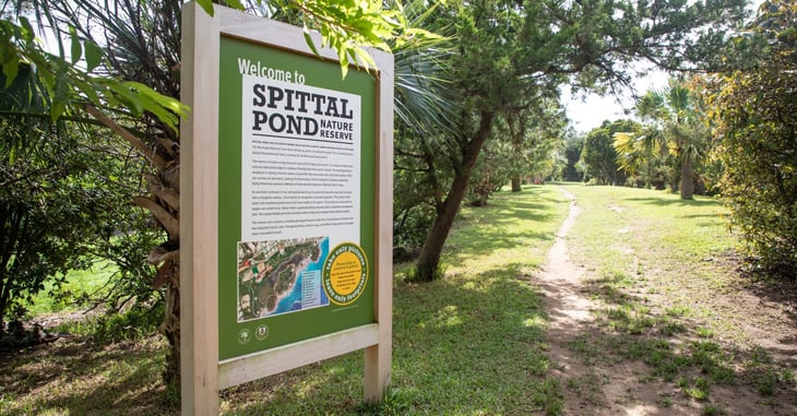 Spittal Pond-1