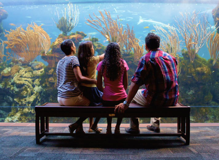 family-sitting-on-bench-looking-at-aquarium