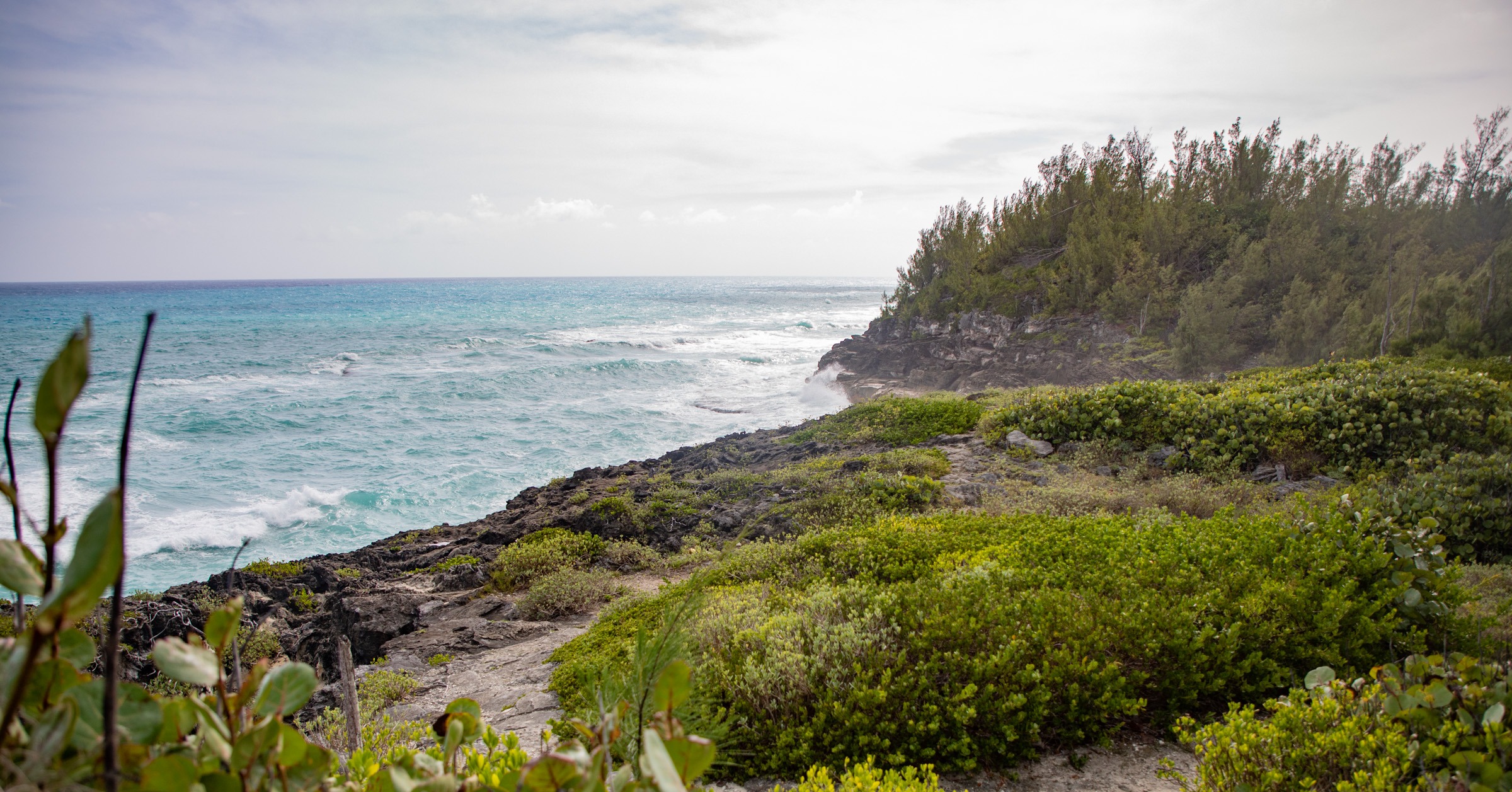 an explores guide to bermuda hiking 